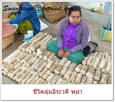 ทัวร์ต่างประเทศ พม่า44-20100525ชีวิตลุ่มอิระวดี